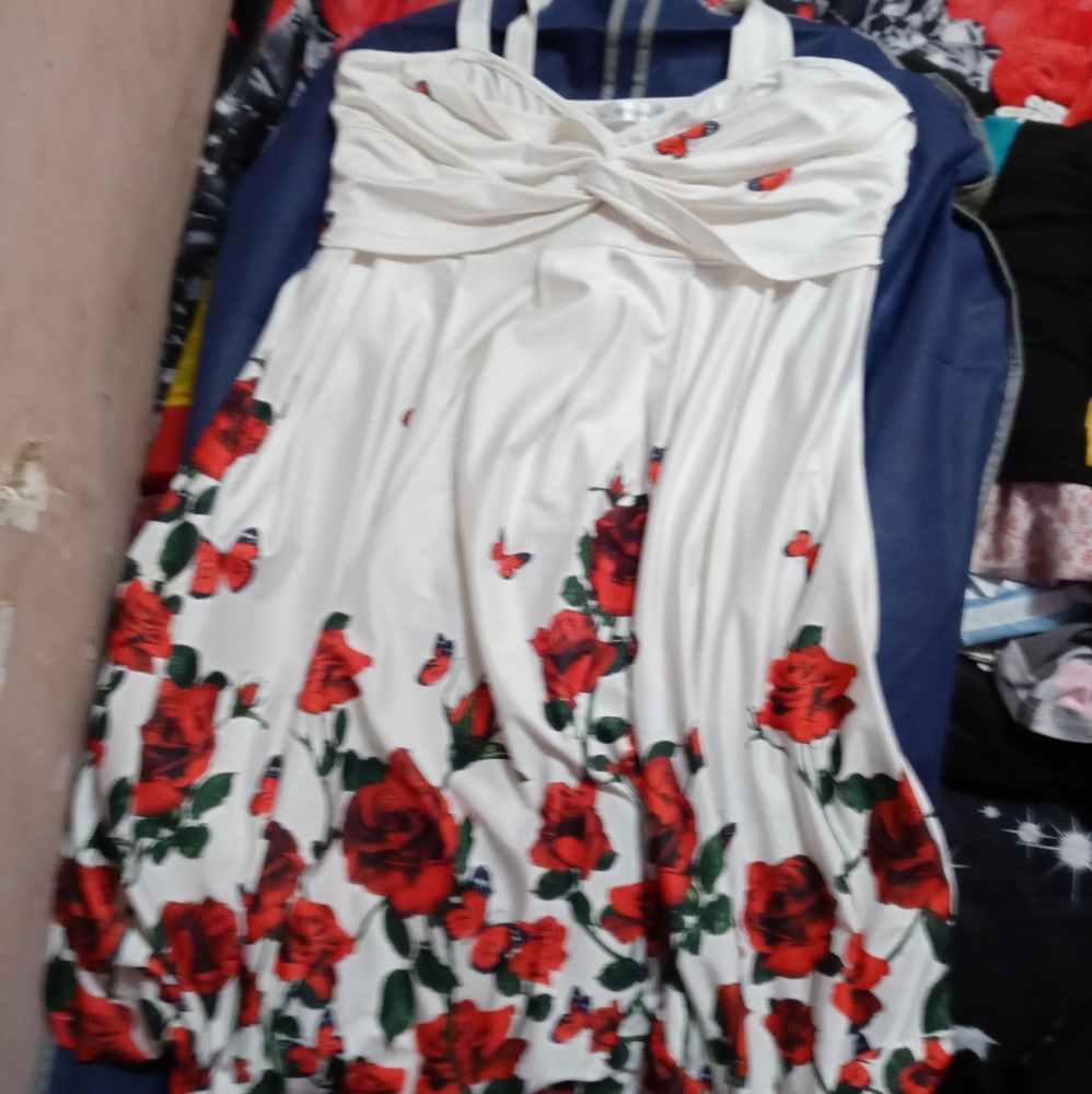 A beautiful dress with red flowers